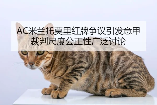 AC米兰托莫里红牌争议引发意甲裁判尺度公正性广泛讨论