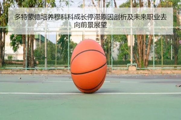 多特蒙德培养穆科科成长停滞原因剖析及未来职业去向前景展望